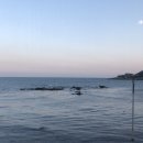 백화제방 이미지