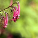 연못가든 이미지