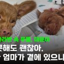 대운 동물병원 이미지