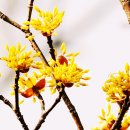 산수 이미지