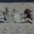 증도갯벌생태전시관 이미지