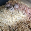 매산리 538 이미지