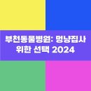 멍냥동물병원 | 부천동물병원: 멍냥집사 위한 선택 2024