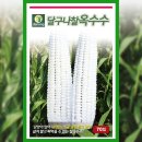 달구나 - 시흥시 목감남서로 9-29 | 달구나