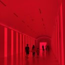 몬스터 짐 | 월드 오브 몬스터짐 2025 직관 후기