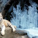 벨라지오 이미지