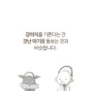 강아지의 품격 이미지