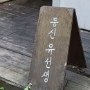 등신유선생 이미지