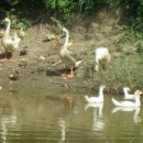 가오농장 이미지