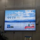 당일치기 같은 일정의 1박 2일 강릉 기차여행🚈