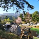 원남면 테마공원 화장실(제1 캠핑장) | 서종힐링캠핑장 쉬기 좋은 양평 오토캠핑장 A8 벚꽃