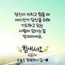 재첩이 날 속이네 [잘난사람 영상글] 이미지