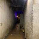 WOW | 홍대 방탈출 ‘홈그라운드’ 후기 (마더퍼커 WOW 홍대점)