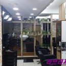 김승연헤어드레서