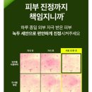 세안 - 천안시 서북구 | 비플레인 녹두 약산성 클렌징폼 세안 후기