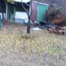 달빛이머무는둥지 이미지