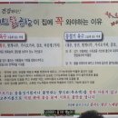 꿩대신닭곰탕 - 창원시 성산구 동산로 124 | 꿩대신닭곰탕