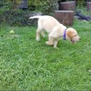 펜션 스토리 이미지