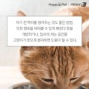 우다다 이미지