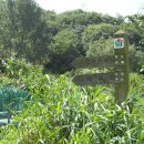 불광산약수터 이미지