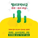 헬리코박터균 예방, 손씻기도 중요해요 이미지