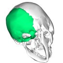엠에스피지컬 이미지