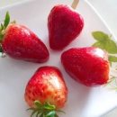 전자레인지 탕후루 만드는법 포도 탕후루 레시피 종이컵 비율 이미지