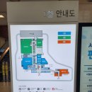 서울특별시보라매병원 | 서울특별시 보라매병원 서울대학교병원운영 갑상선센타 갑상선 세침 조직검사 후기