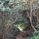 광양 옥룡사지 이미지