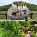 (주)삼성여행사