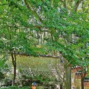 서울 강북구 한옥카페 선운각 (&#39;25.7.11) 이미지