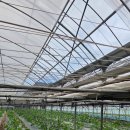 생림돼지국밥 이미지