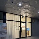 유진헬스케어 | 하남미사 애견테라피 강아지마사지 리듬펫헬스케어