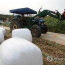 서리축산 이미지