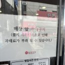 화통집 수원북문점 | 보영만두 수원북문 본점 웨이팅 꿀팁과 쫄면 군만두 조합 후기