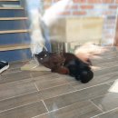 군산커피가게 이미지