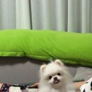 몽글몽글 이미지