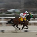 무한질주 이미지