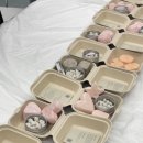 제로웨이스트 샴푸바, 고체치약 만들기 이미지