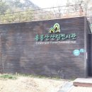 용봉산산림전시관 Daum카페
