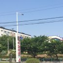 성심각 이미지