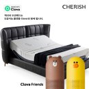 체리쉬 동아일보