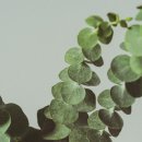 디자인스튜디오영 이미지
