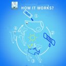 오렌지그린