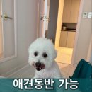 에르모소스테이 | 부산 기장 에르모소 스테이 후기,애견동반 가능한 넓은 독채 숙소