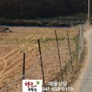 신금공인중개사사무소 이미지