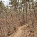 성내리경로당 | [등산 일지#5] 충남 서천 월명산 - 1시간 20분 코스 (with 춘장대 해수욕장)