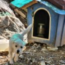 보현민박 이미지