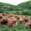 현대계절음식 이미지