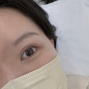 부산속눈썹 넘버원 비비원래쉬 범일동 속눈썹펌 후기